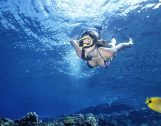  Snorkelling 